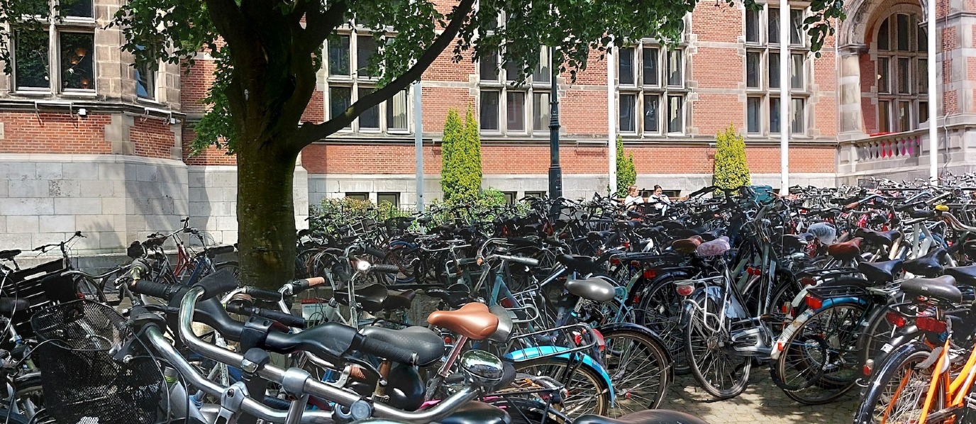 Study at the Faculty of Law