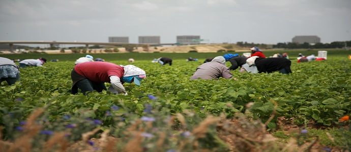 decorative image