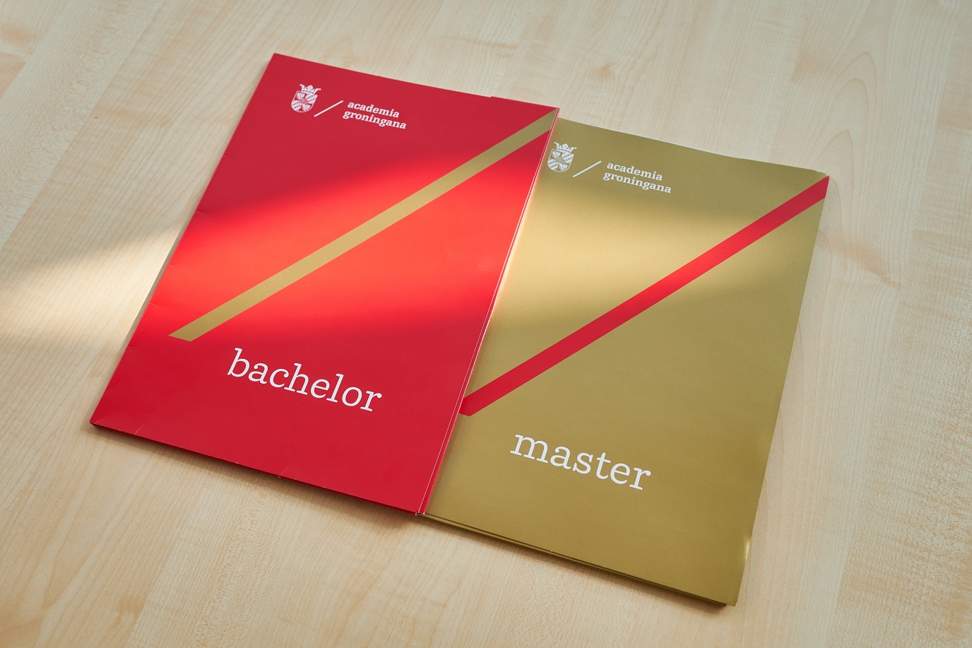 Master's degree programmes