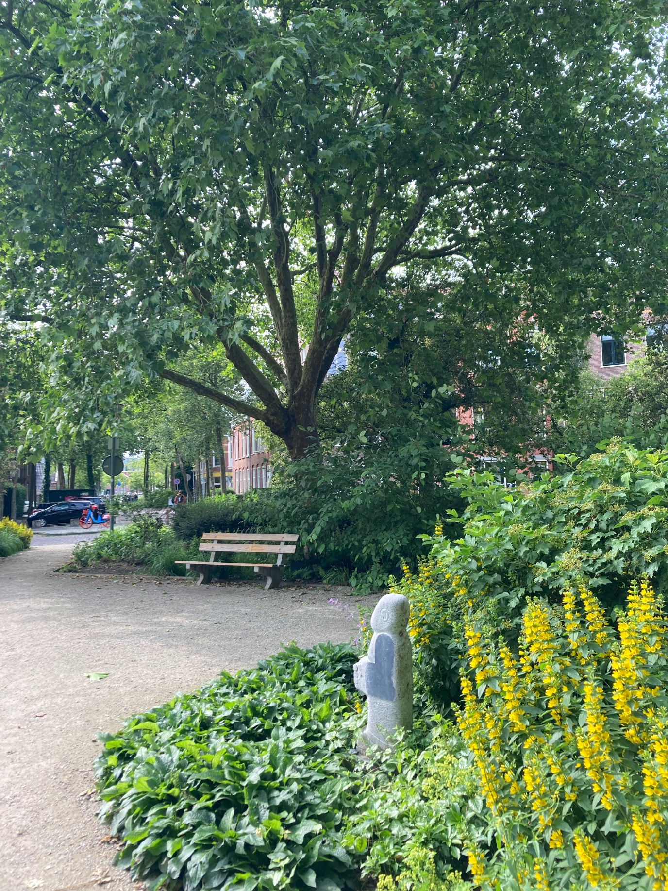 Het H.W. Mesdagplein is opnieuw ingericht met meer groen.