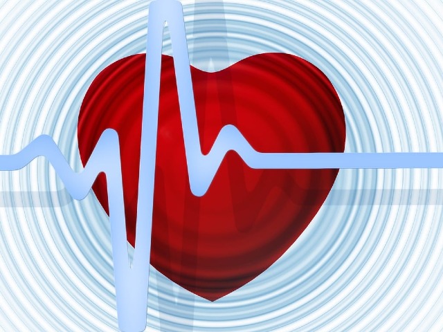 Heart