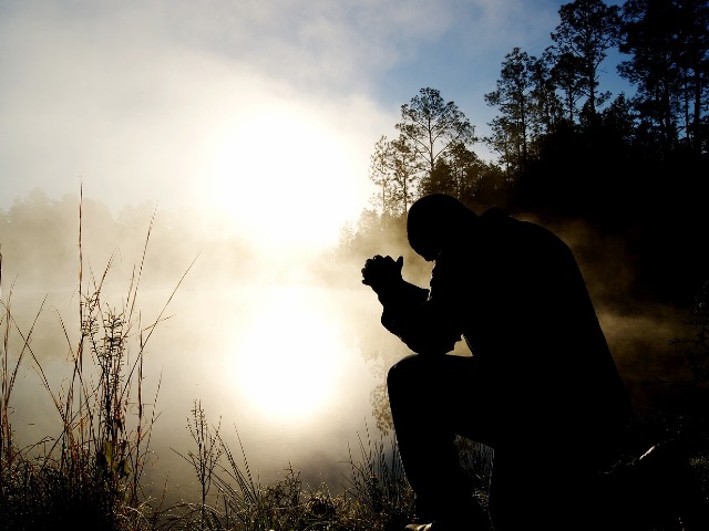 Afbeelding: https://pixabay.com/