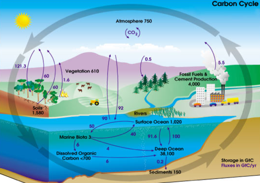 The greenhouse effect