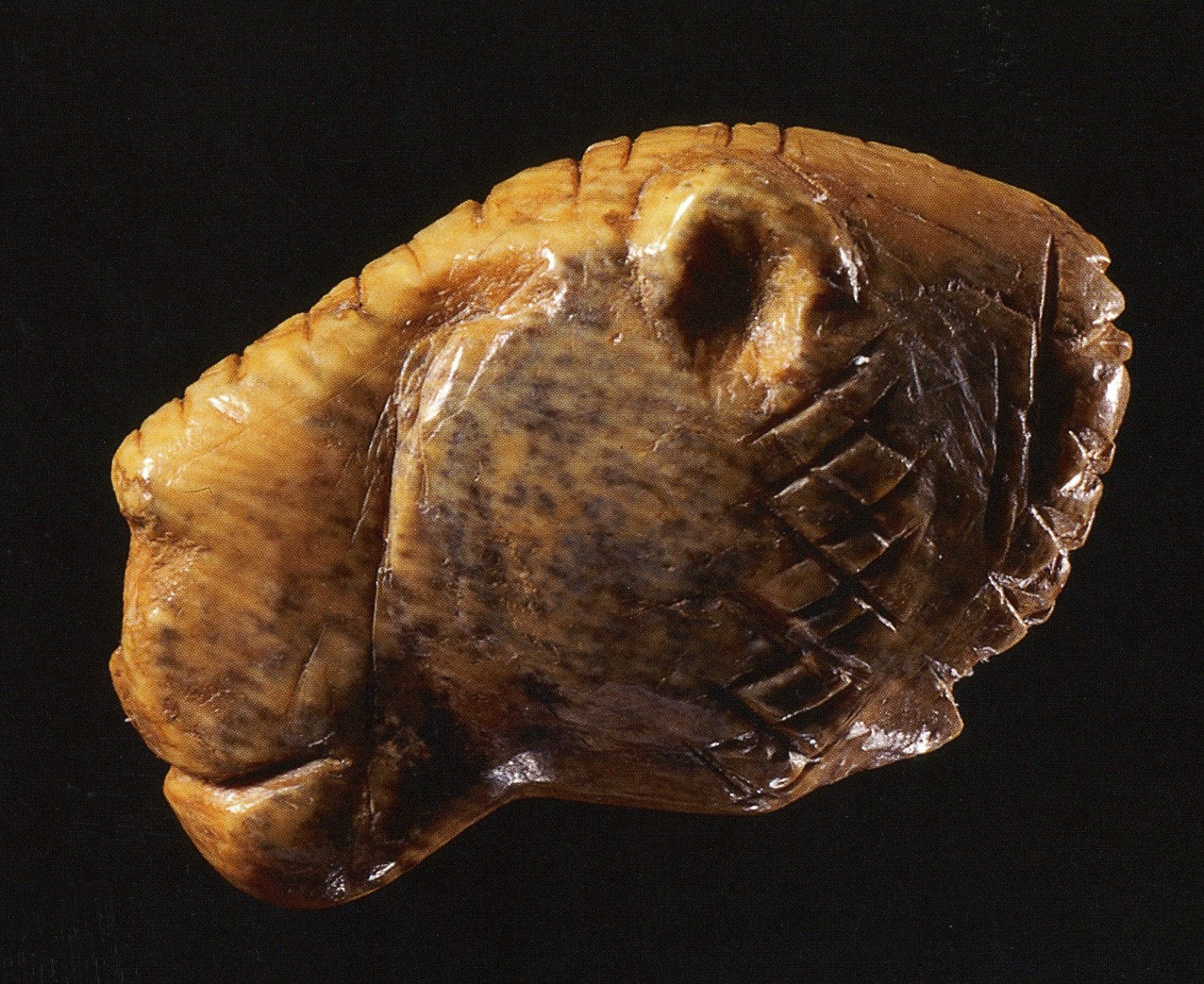 Fig. 2 Head of a lion, ca. 40.000 BC / Aurignacien, fund site Vogelherd Cave (Stetten ob Lonetal) / Niederstotzingen, ivory, length 3 cm, width 1,9 cm, Landesmuseum Württemberg © Landesmuseum Württemberg, photographer H. Zwietasch