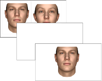 Figure 3: stimuli used in the face recognition task