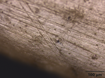 A microscopic picture (from a metallographic microscope) of usewear striations visible on a Dorset bone needle from Mansell Island (Nunavik)