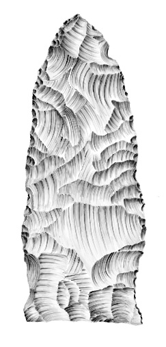 A typical bifacial tool from the lithic toolkit of the Greenlandic Early Dorset. (Drawing by Eirik H. Røe)