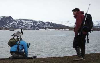 checking goose nest on Spitsbergen