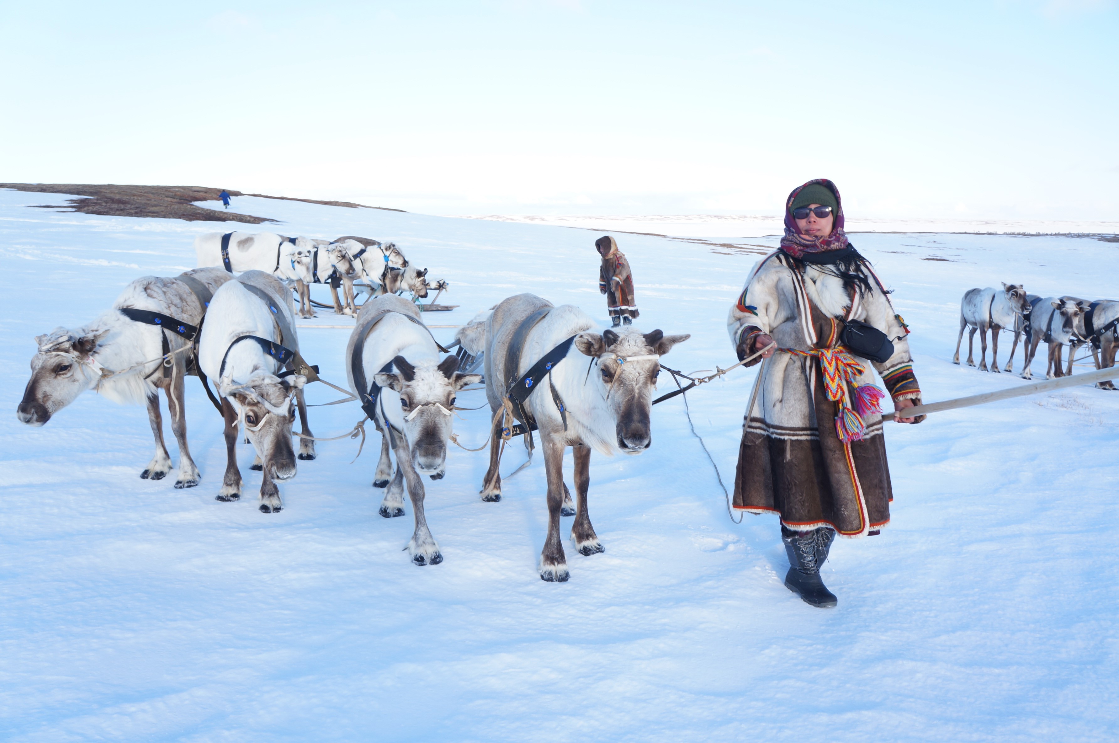 Roza laptander (right) doing fieldwork in Nenet