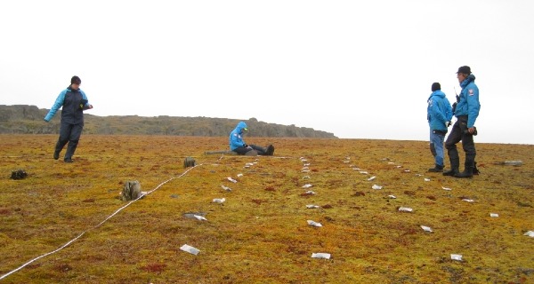 Fieldwork