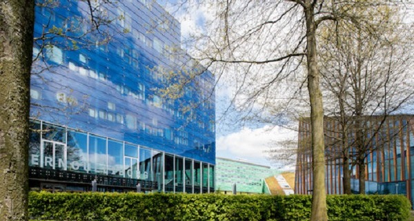 30 years AI Lustrum / Fall
