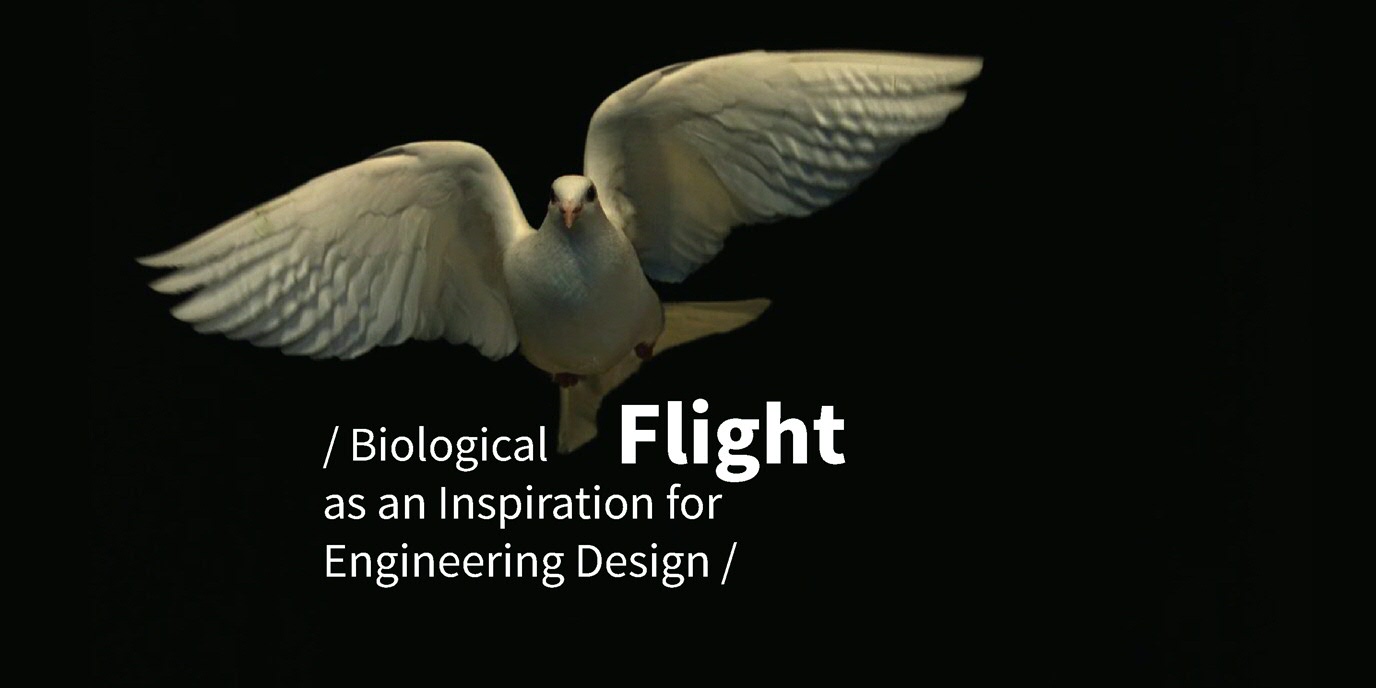 biological flight as an inspiration for engineering design