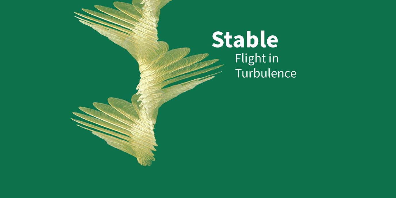 stable | flight in turbulence