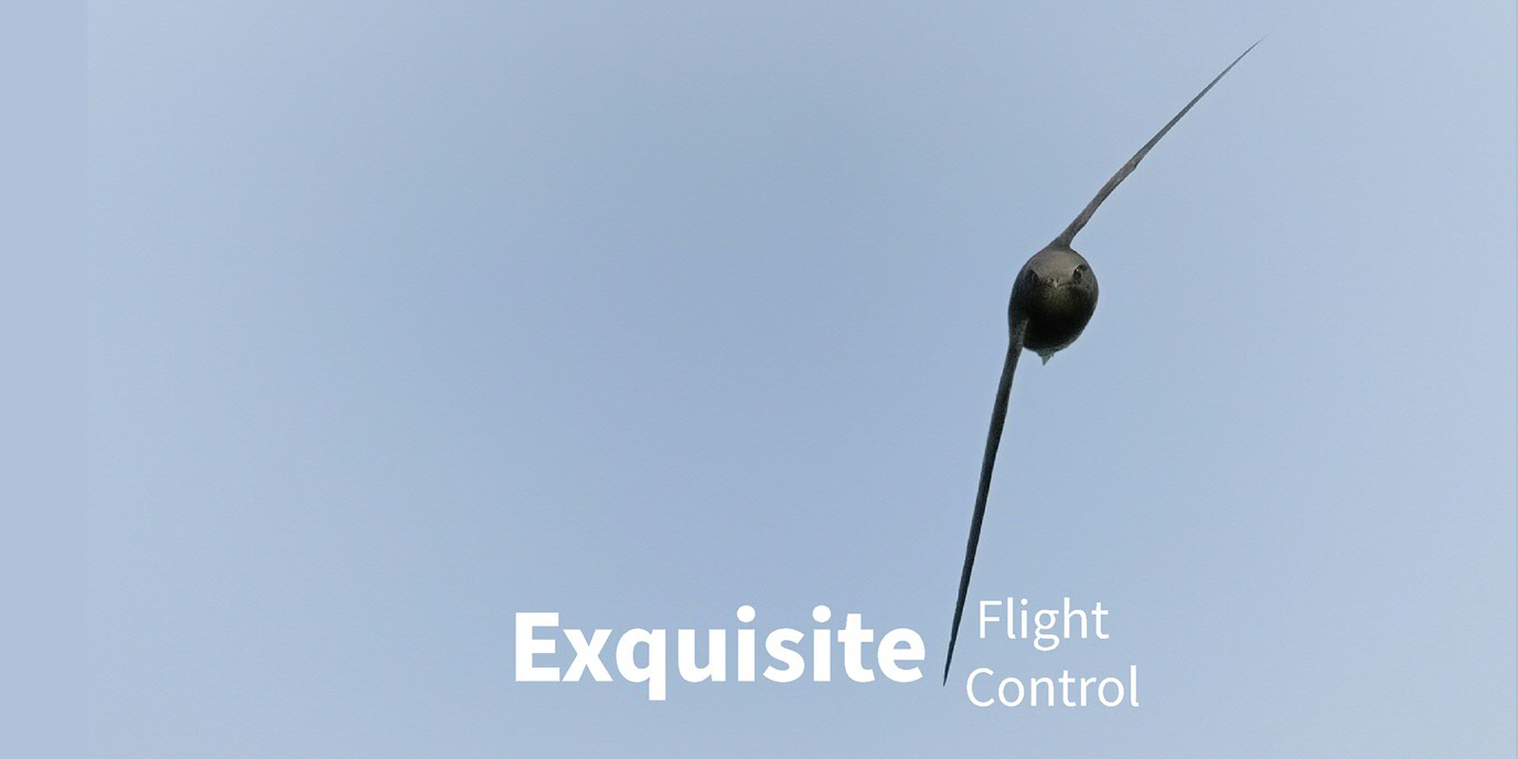 Exquisite Flight control