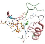 Biotransformation and Biocatalysis