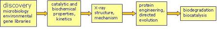 Enzyme discovery, characterization and engineering for new applications.