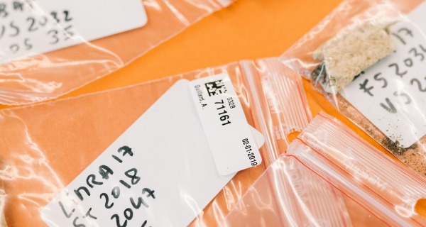 Sample handling | Submission