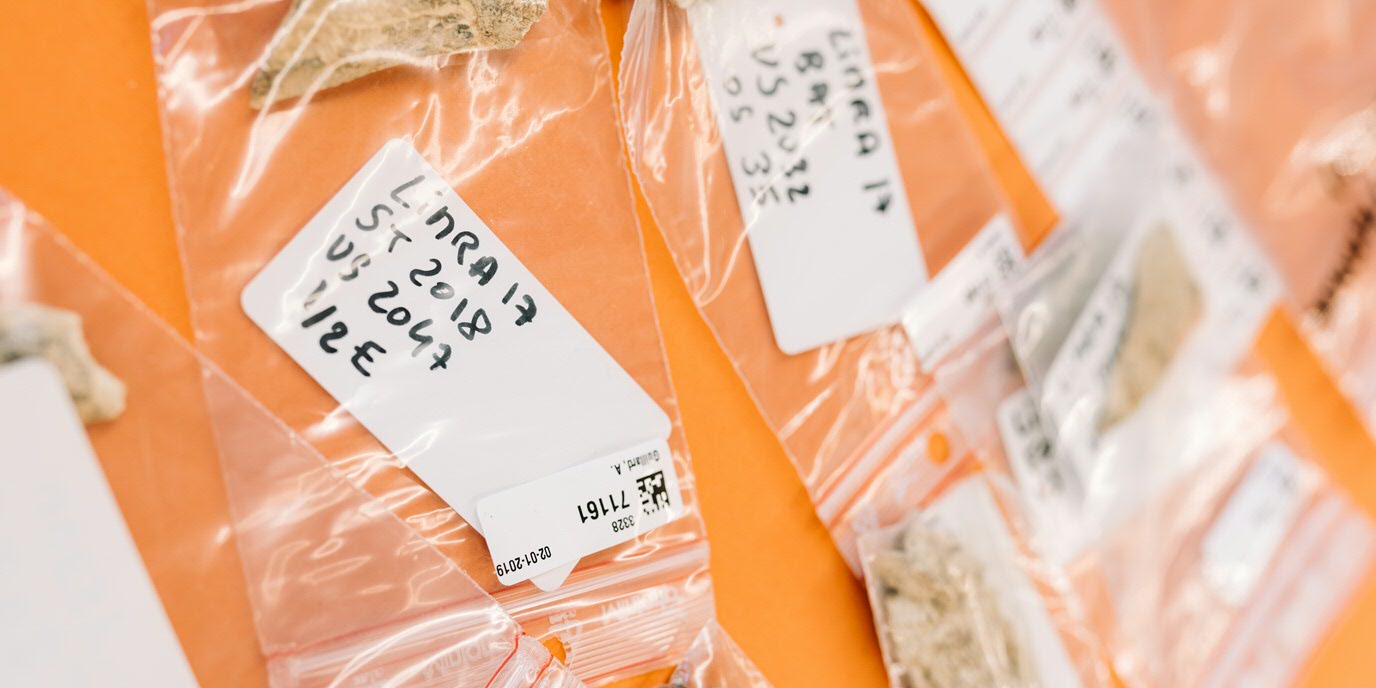 Measurement samples