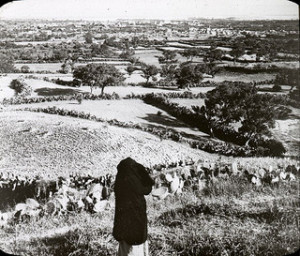 A 1910 photograph of Gaza. The tranquility of the fields stands in stark contrast to the violence witnessed there in recent times.