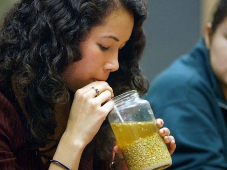 Chemistry undergraduates at Stanford University sampling jiu, a fermented beverage made from sorghum, rice, or millet. &copy; Kurk Hickman