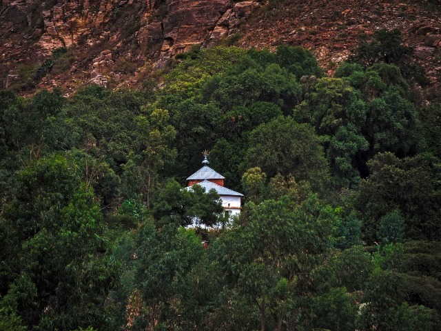 Sacred Forest - Orthodox Church, Tigray, Ethiopia