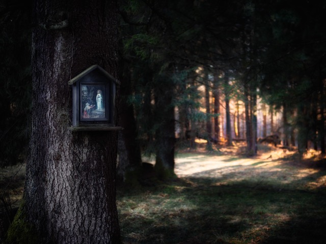Photo by Simon Berger on Unsplash