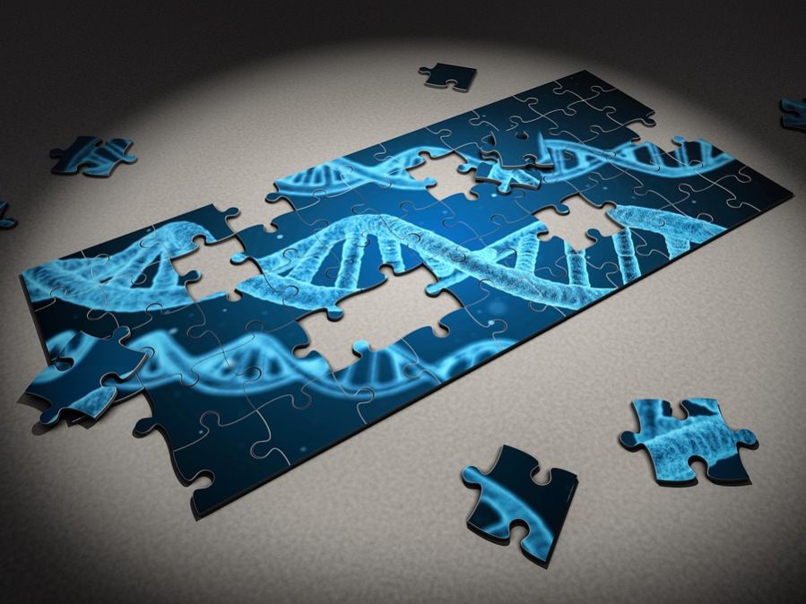 DNA puzzle