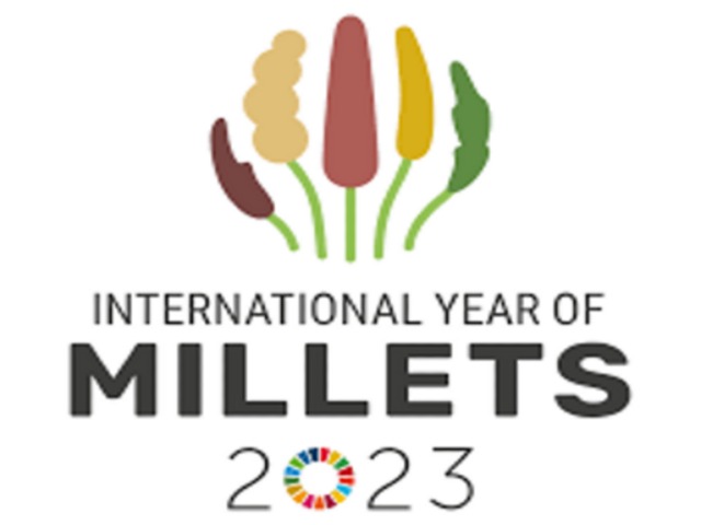 The emblem of the IYOM 2023 combines iconic references to different kinds of millets that together form the most promoted millet variety, finger millet, and to the UN Sustainable Development Goals (the &ldquo;zero&rdquo; of 2023).