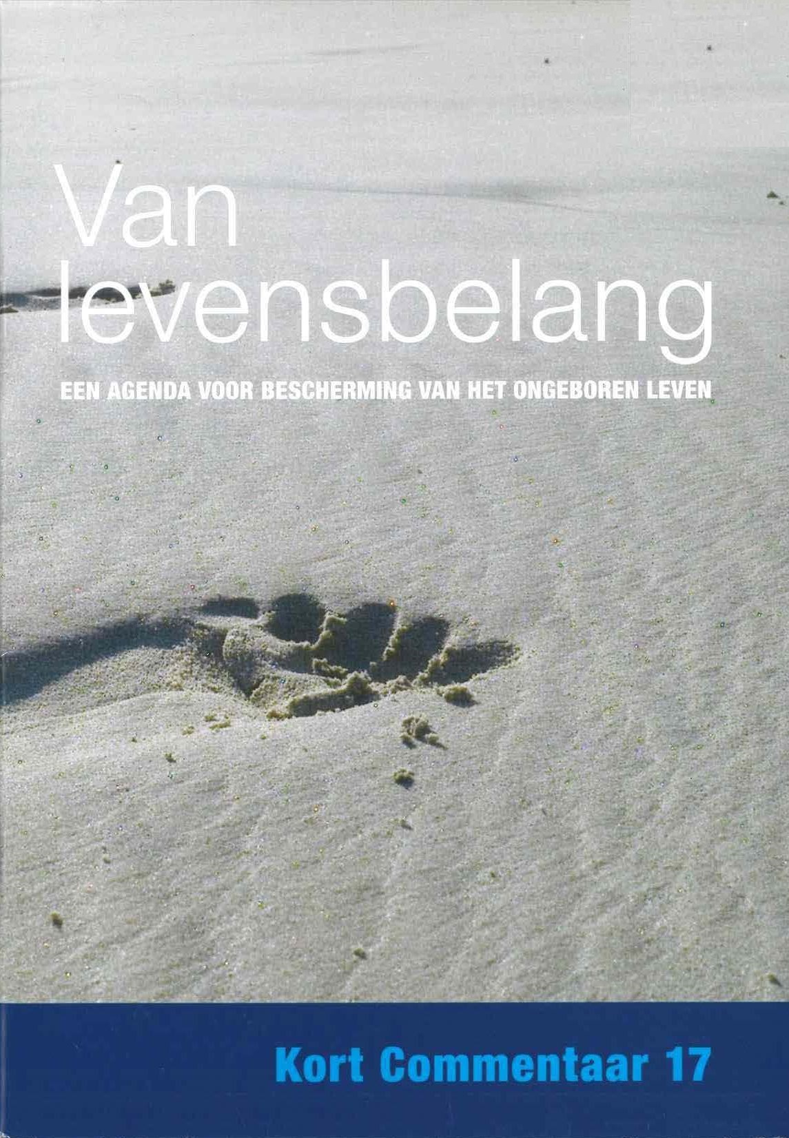 Brochure, 2010