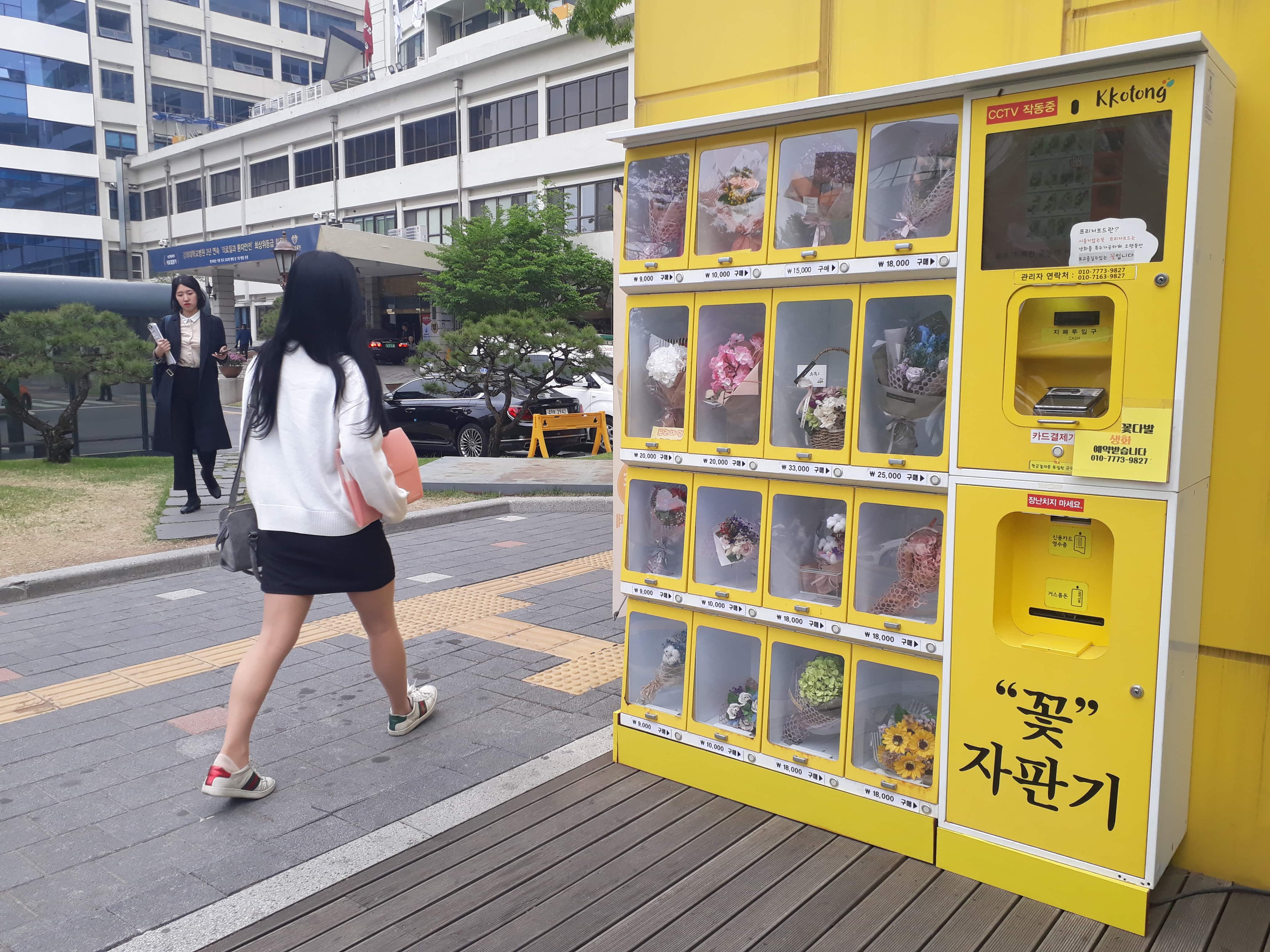 Korean Vending Machines