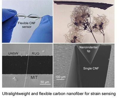 single and bundled carbon nanofibers