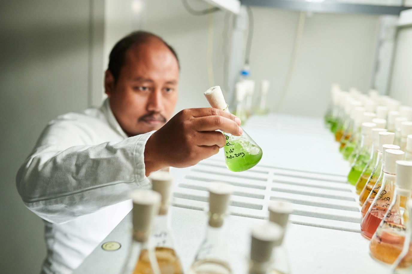 Researcher observes flask with green liquid