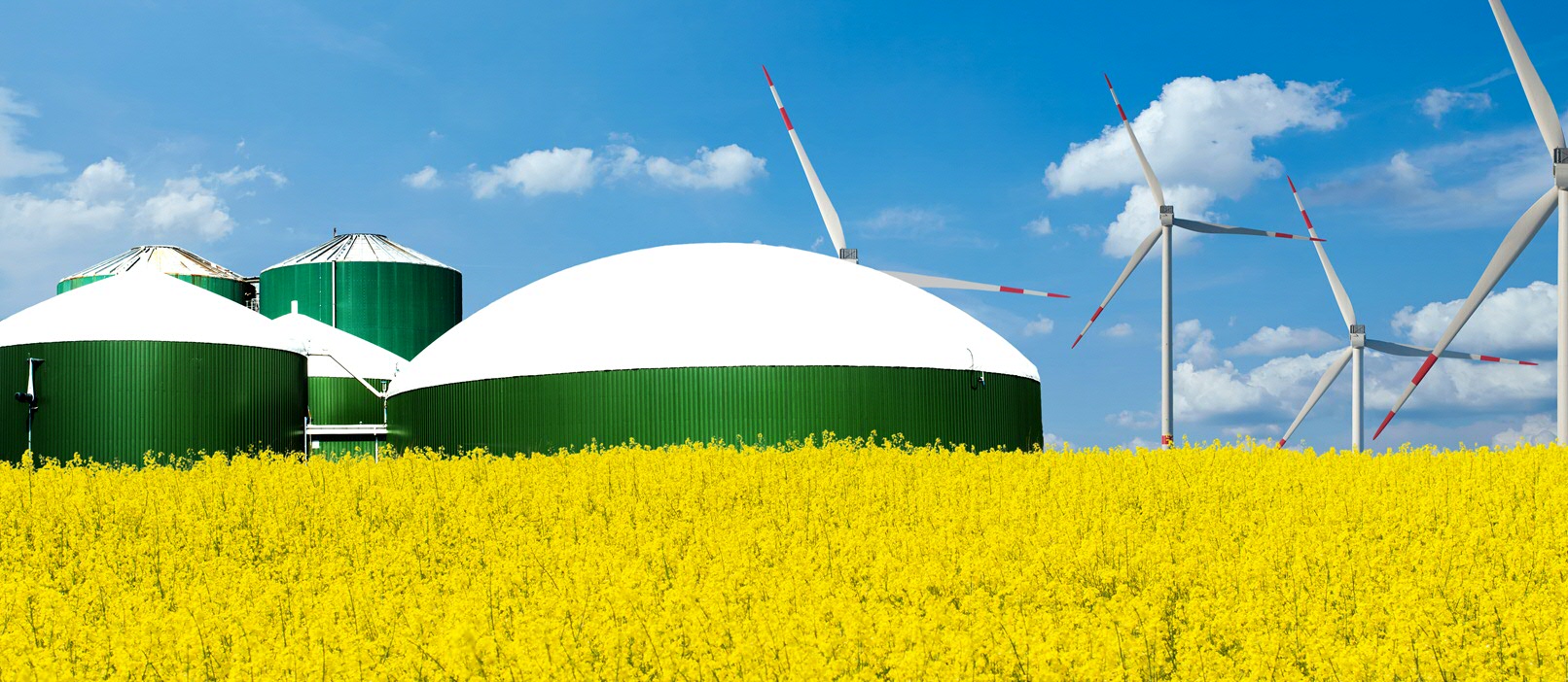 Powering AgriFood Grant for Prof PV Aravind