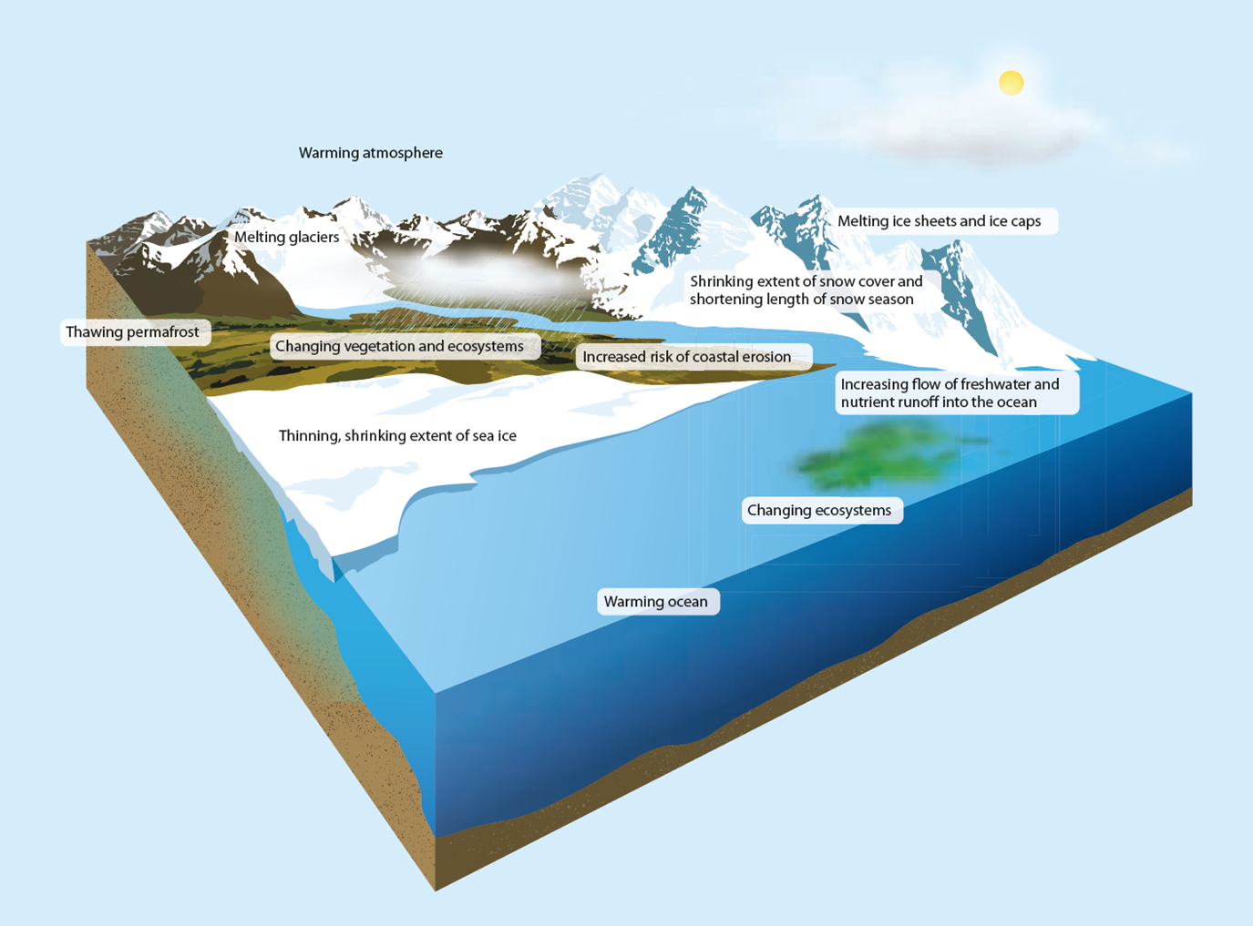 Changing Arctic