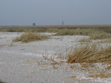 foto: Henny van der Windt