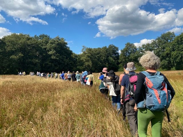 Historisch landschap