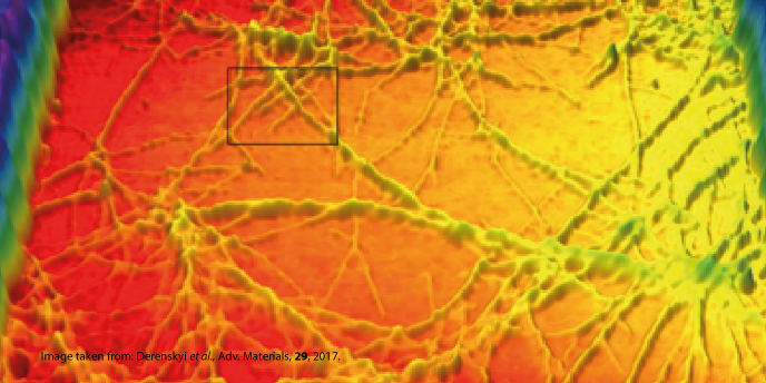 Cognitive Systems and Materials