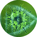 Corona virus
