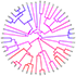 Phylogeny