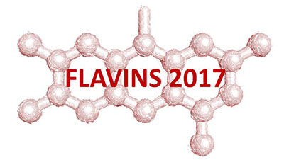 Flavins and Flavoproteins Symposium / July 2-6, 2017 / Groningen The Netherlands