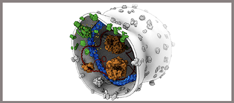 Rosalind Franklin Fellowships Call
