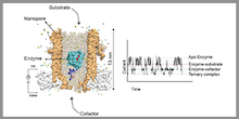 Chemical Biology