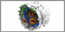 Membrane Enzymology