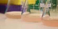 Research Highlights
