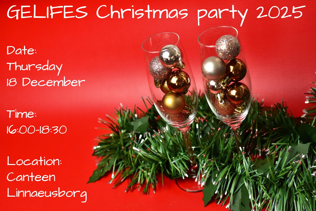 GELIFES Christmas Party 2025