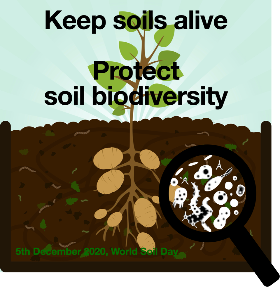 World Soil Day, 5 December 2020