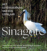 Sinagote - Het Levensverhaal van een Lepelaar