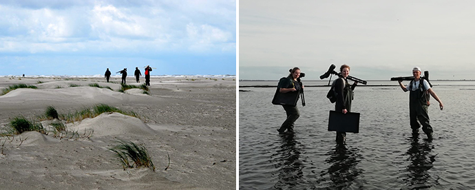Wadvogels tellen vanaf het strand en op het wad