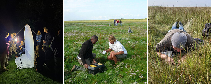 Cursus Ecological Research Skills: nachtvlinders en bodemfauna tellenCourse Ecological Research Skills: counting moths and soil faunaKurs Ecological Research Skills: Zählen von Motten und Bodenfauna