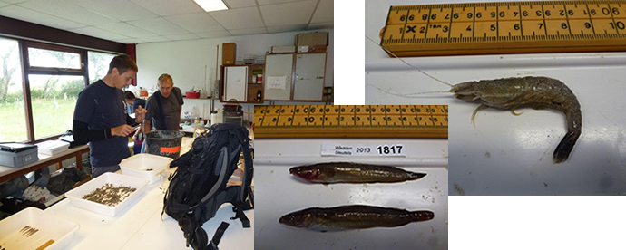 Monsters meten in het oude natlabMeasuring samples in the old wetlabMessung der Proben im alten Nasslabor